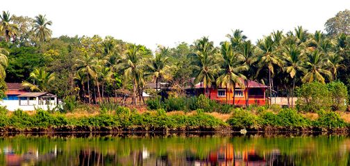 A Comprehensive Travel Guide to India: Start Planning Your Trip For 2022