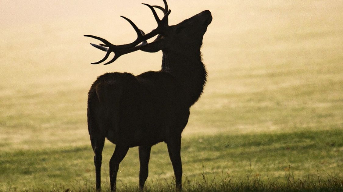 Why we should keep outdoors wild