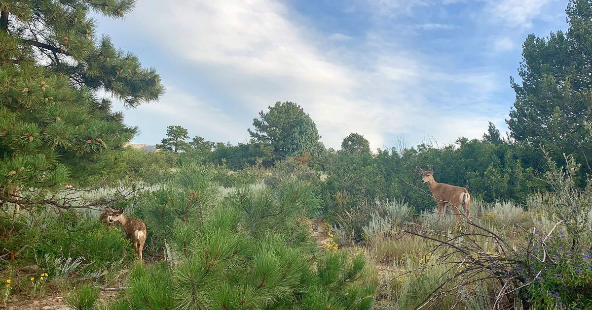 Ute Valley Park Loop, Colorado Springs