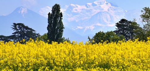 How Much Does the Tour Du Mont Blanc Cost?
