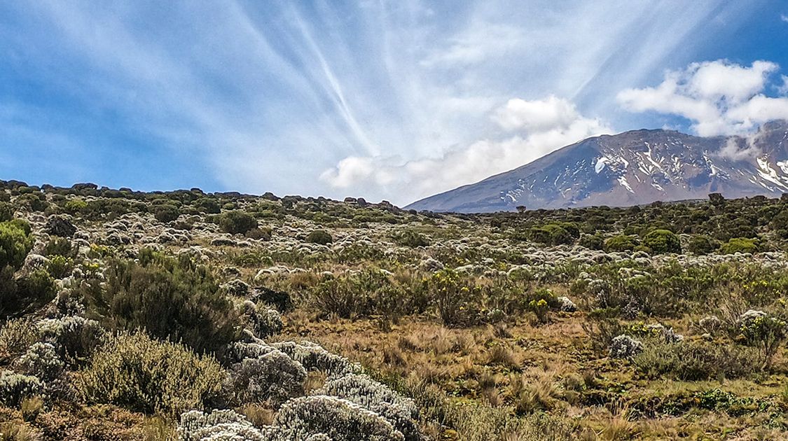 How To Prepare for Mount Kilimanjaro: Here's What You Need to Know