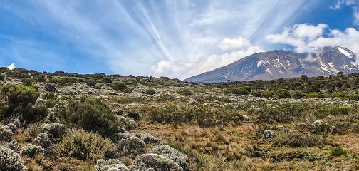 How To Prepare for Mount Kilimanjaro: Here's What You Need to Know