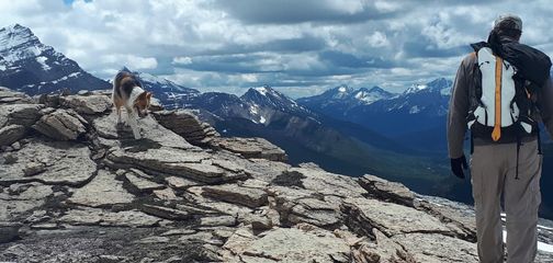 Guide to the Best Dog-Friendly Trails in Alberta