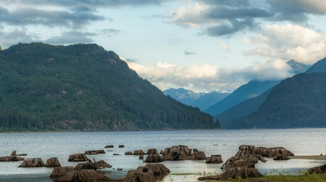Everything you need to know about Camping in Strathcona Park
