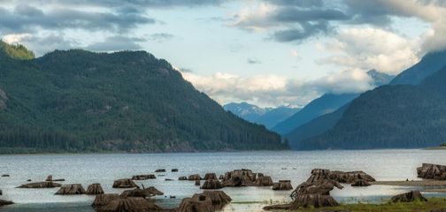 Everything you need to know about Camping in Strathcona Park