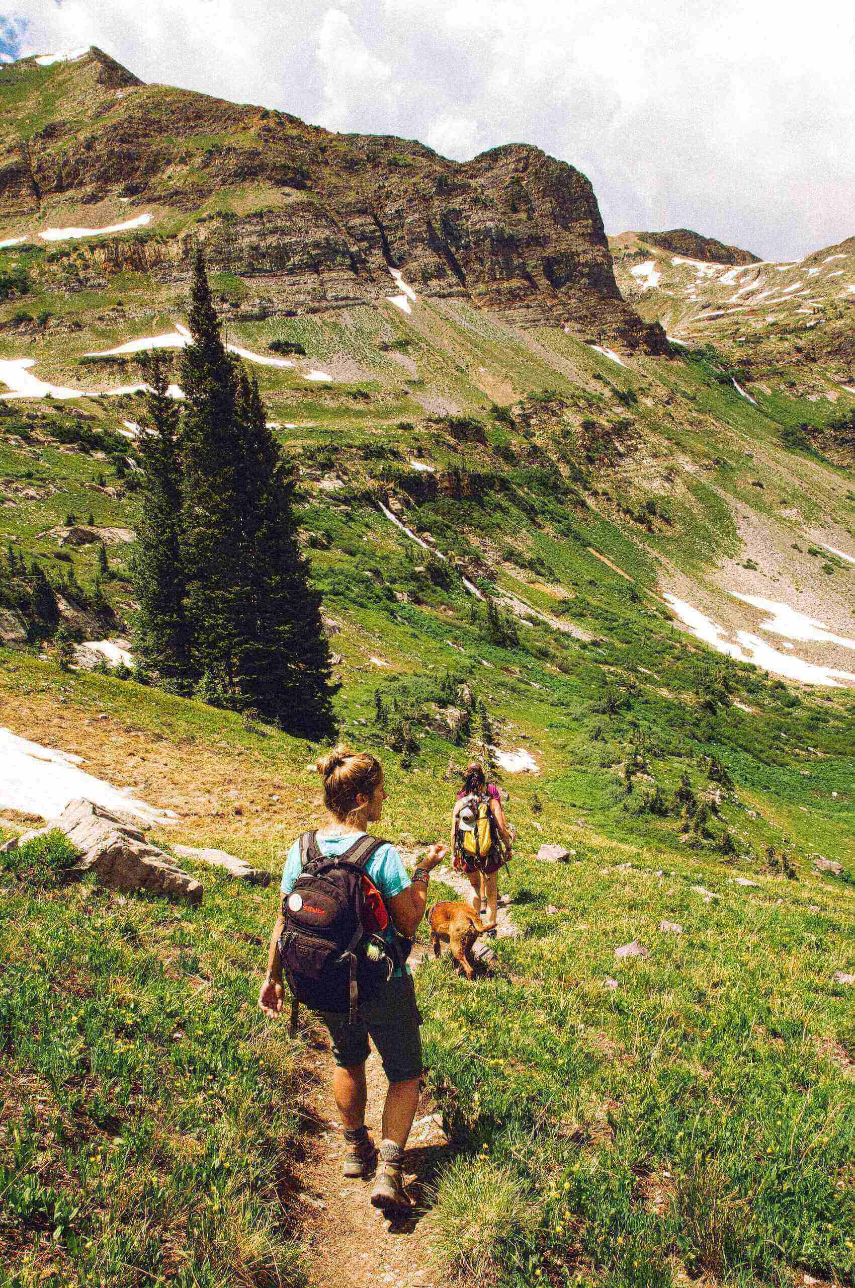 Group of hikers with a canine friend