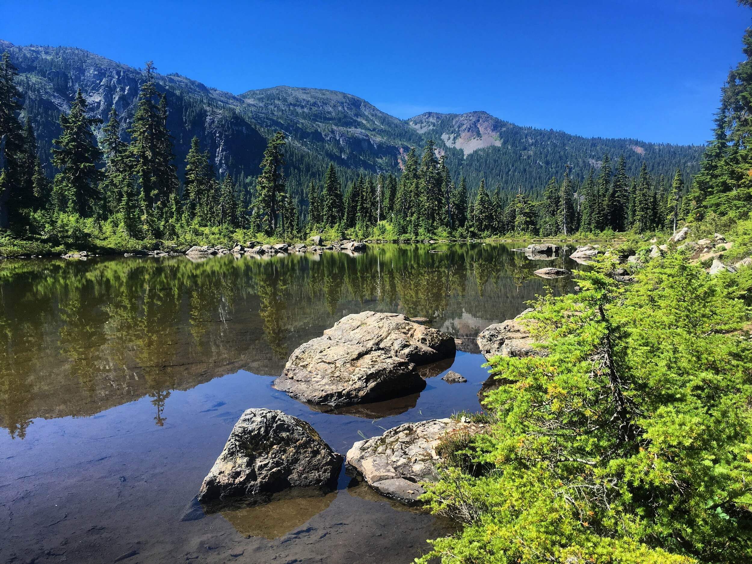 Strathcona Provincial Park, the Forbidden Plateau