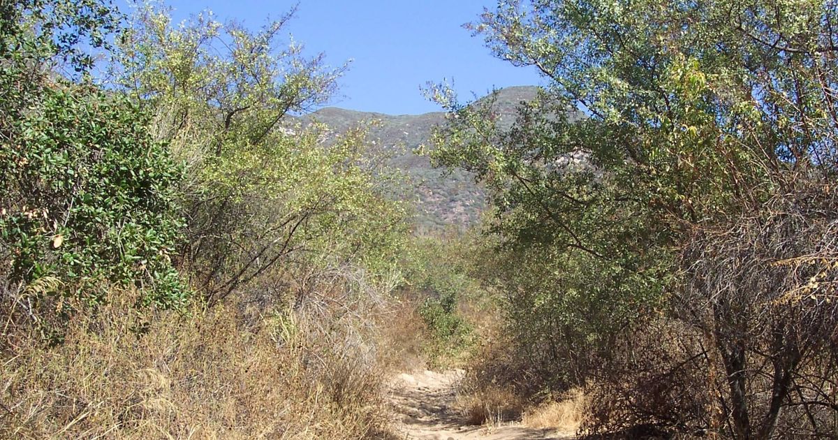 A Guide to the Gridley Trail Los Padres National Forest 10Adventures