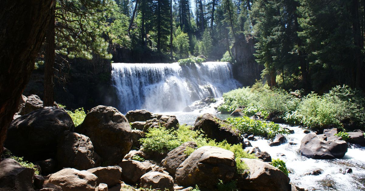 A Guide to the McCloud River Trail A Scenic Adventure 10Adventures