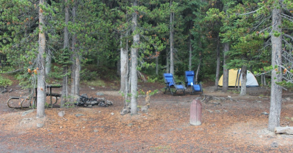 Lewis Lake Campground Trail Relax and Unwind in Yellowstone 10Adventures