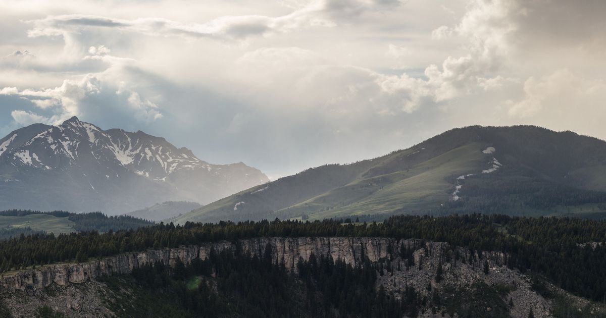 The Terrace Mountain Trail Scenic Hiking in Yellowstone 10Adventures