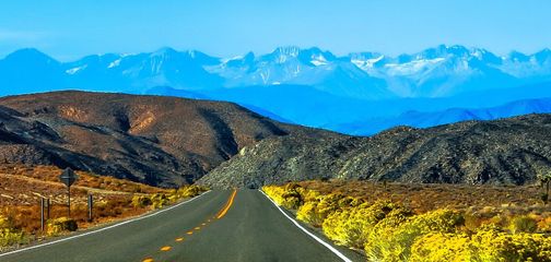 Unlock the Keys to Living Your Best Van Life
