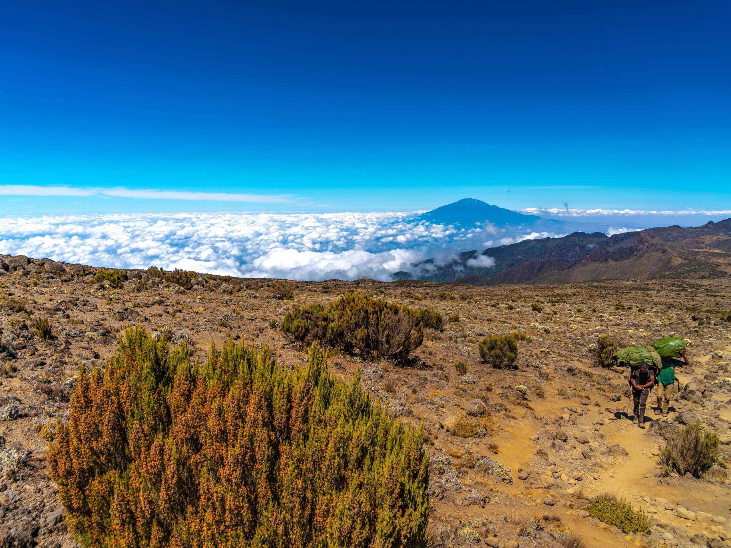 Climbing Kilimanjaro - Trek Past the Lava Tower to Barranco Camp