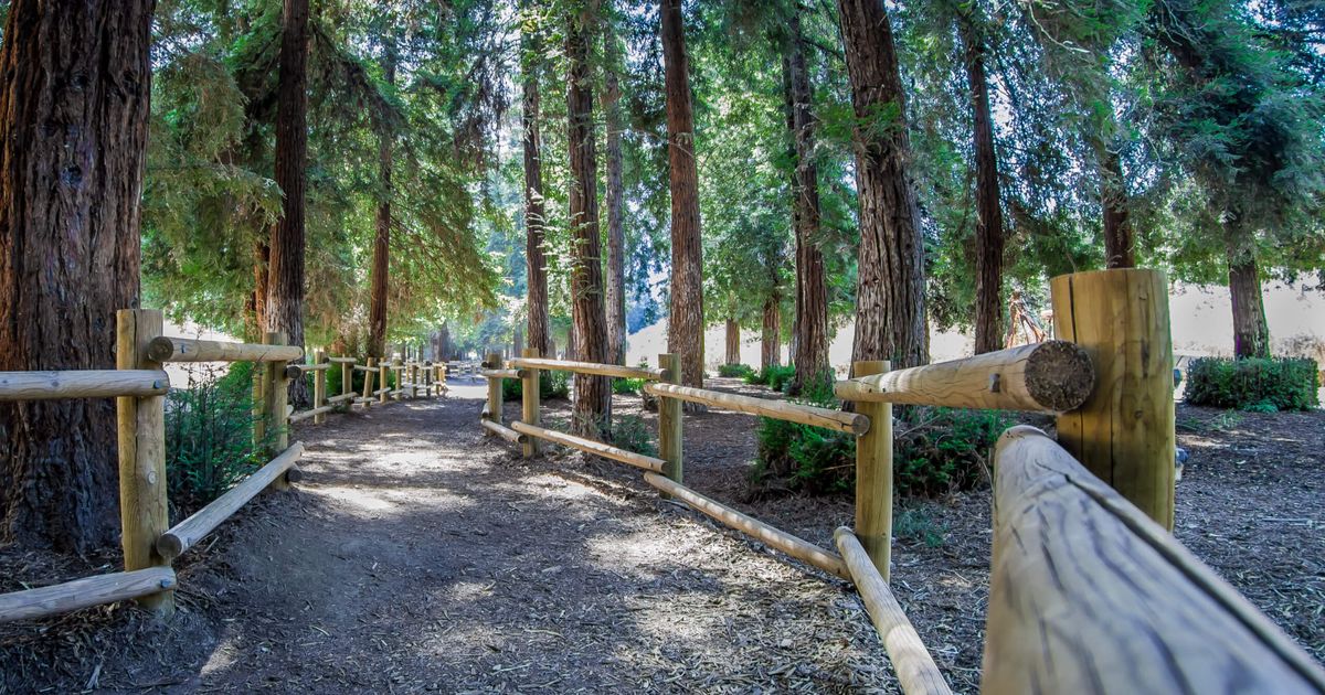 The Carbon Canyon Nature Trail Lovely Hike Near L.A. 10Adventures