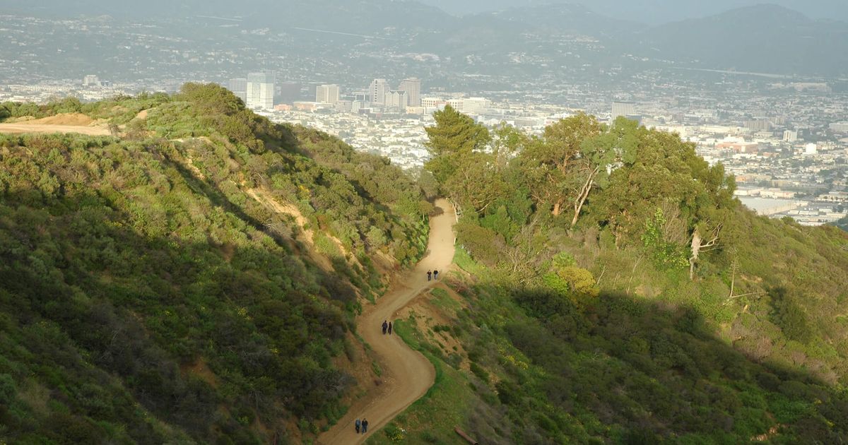 Hiking the Glendale Peak Trail Explore Los Angeles 10Adventures
