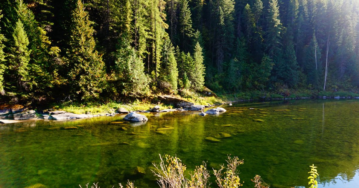 Kelly Creek Hike Explore the Clearwater National Forest 10Adventures