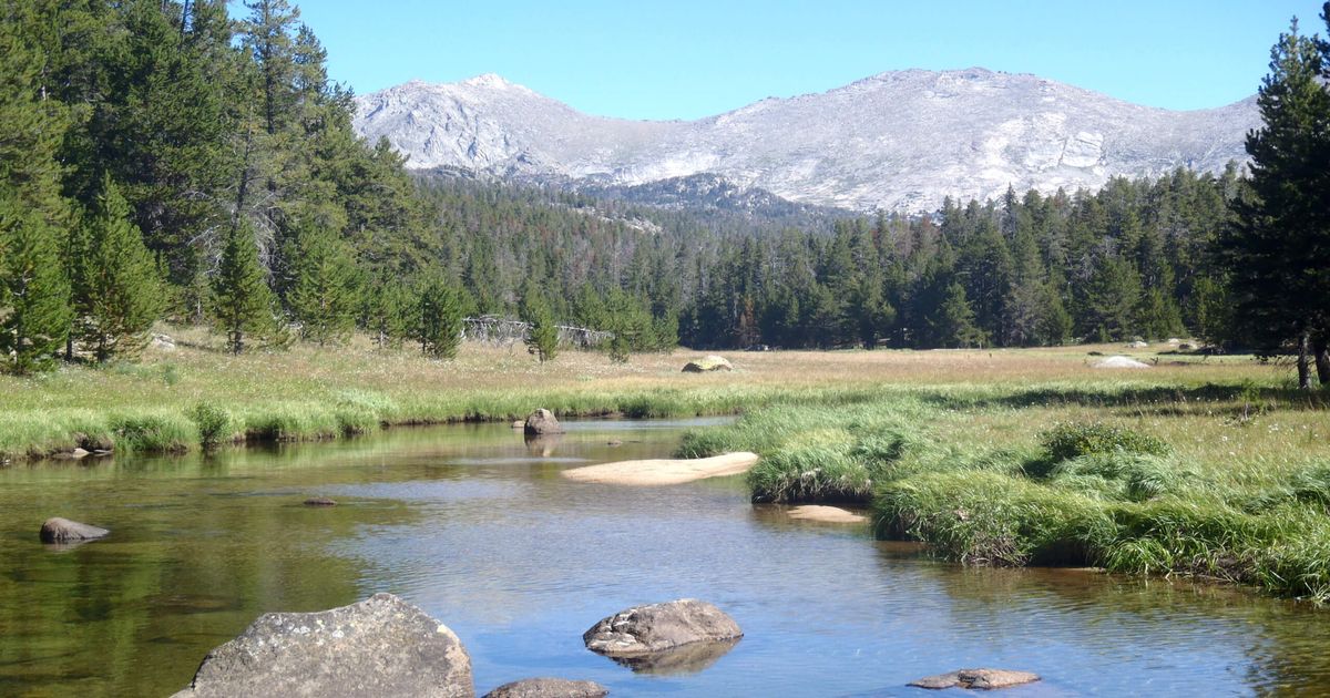 Big Sandy Lake, North Lake, and Arrowhead Lake Loop Hike 10Adventures