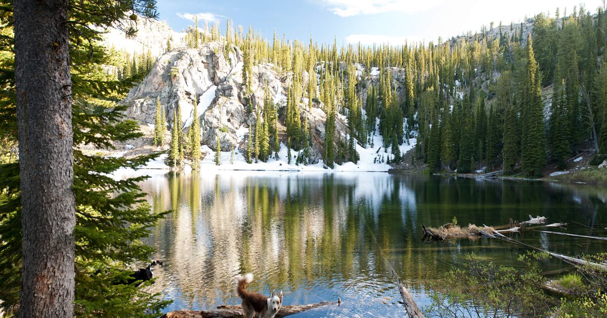 A Guide to the Jennie Lake Trail | Boise National Forest | 10Adventures