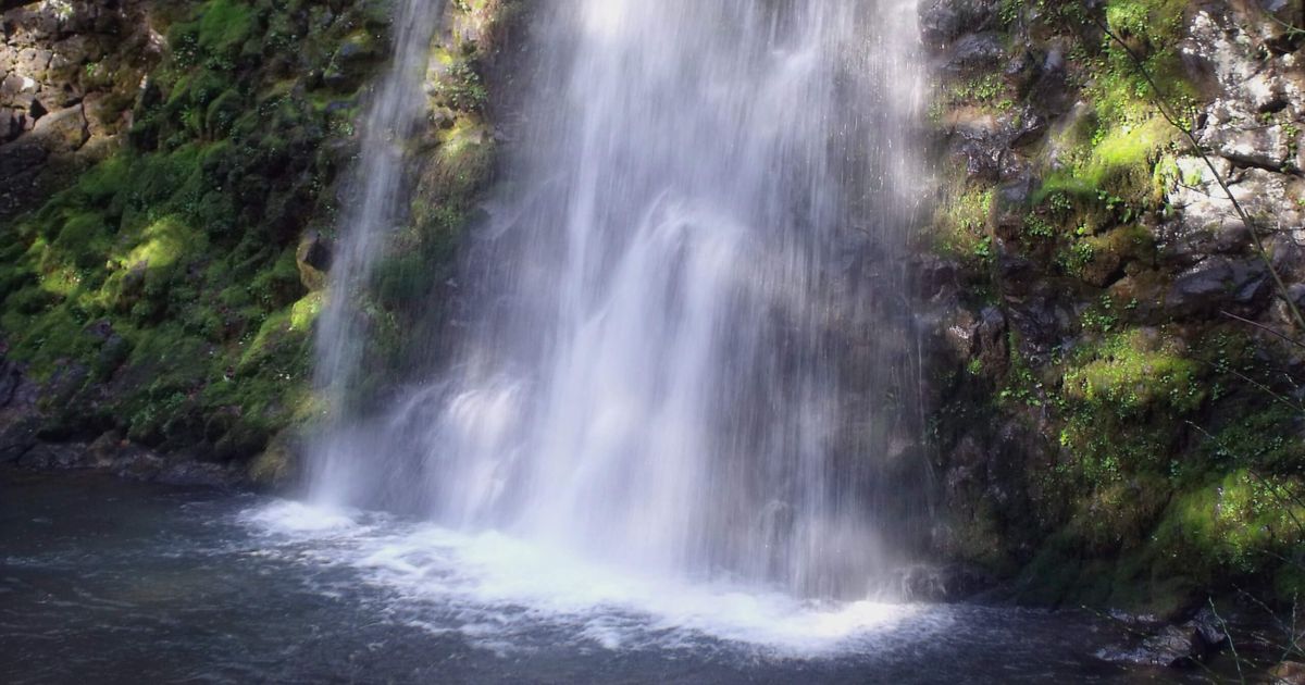 Fall Creek Falls Trail A Stunning Hike in Umpqua NF 10Adventures