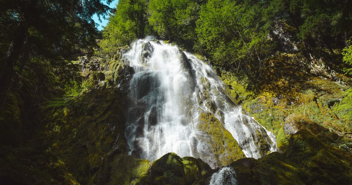 Moon Falls Trail Experience a Stunning Cascade in Oregon 10Adventures