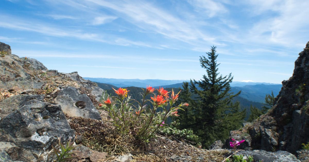 Mount June Trail A Steep Climb With Sweeping Views 10Adventures