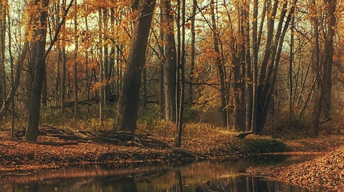 Eight Useful Items to Pack for an Autumn Hiking Adventure