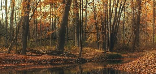 Eight Useful Items to Pack for an Autumn Hiking Adventure