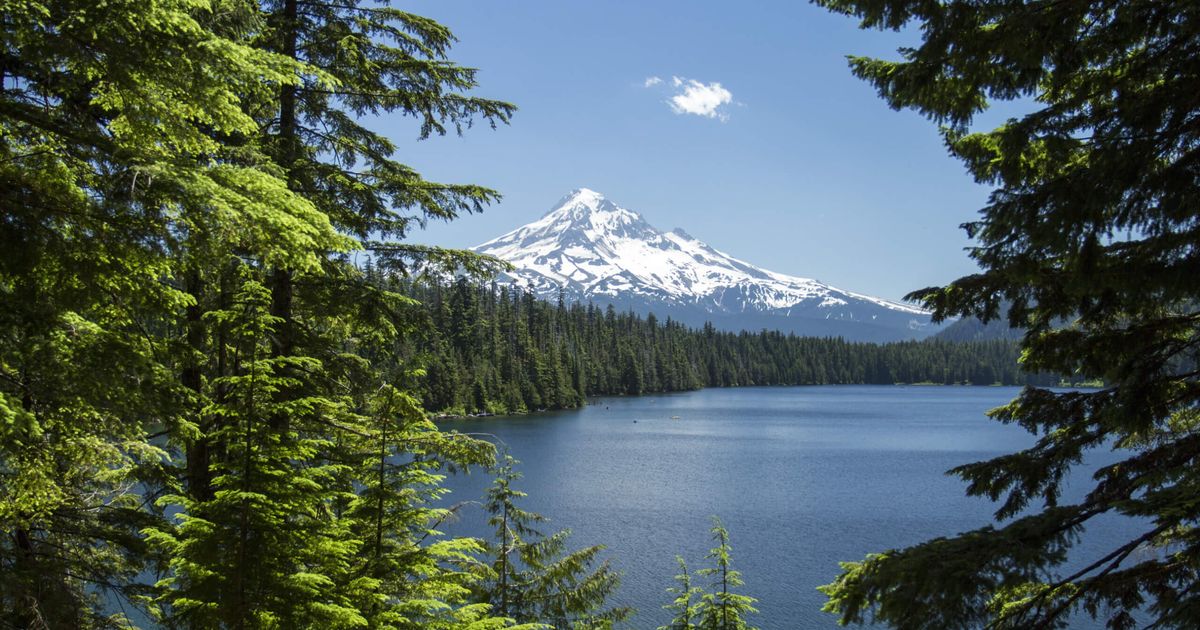 The Lost Lake Trail