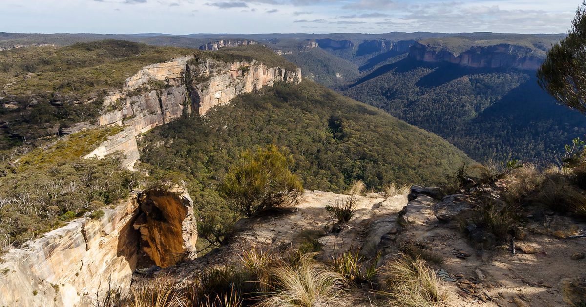 Burramoko Fire Trail