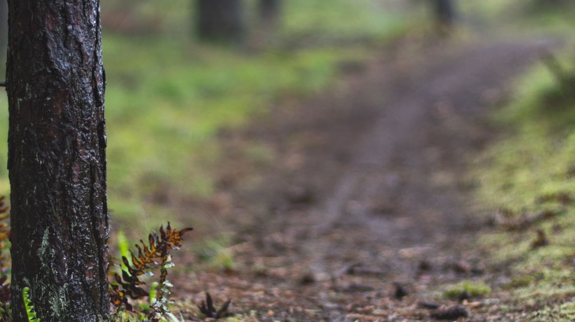 Leave No Trace