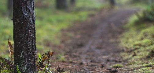 Leave No Trace