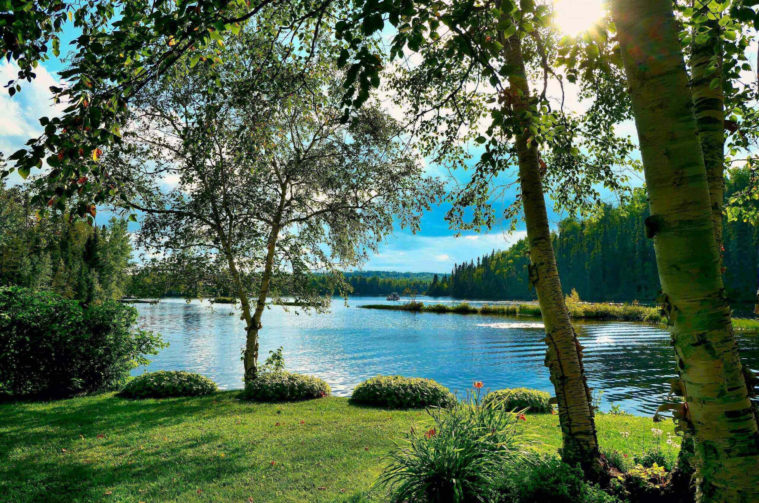 Lush green garden near a small lake