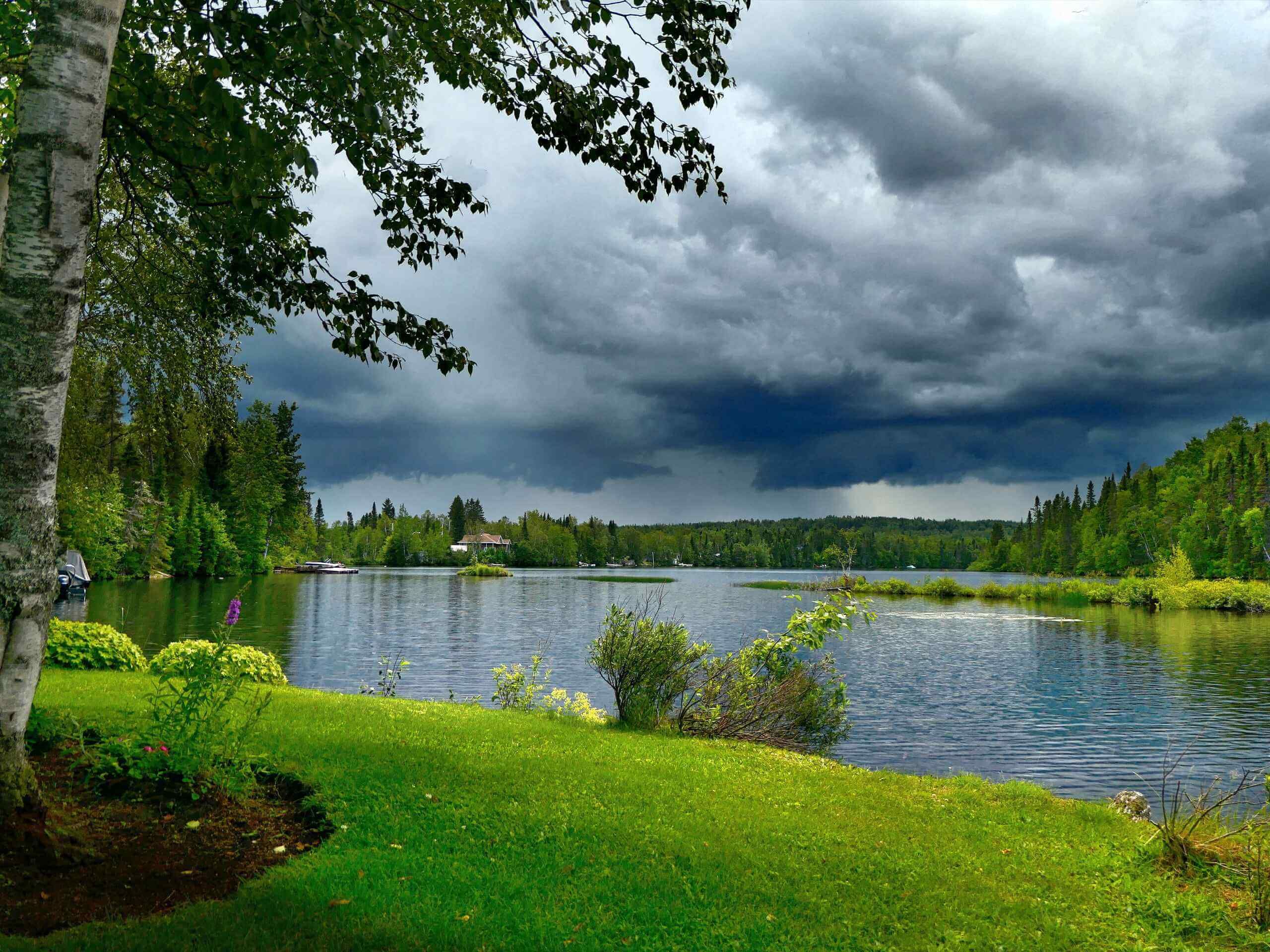 Lush green garden near a small lake