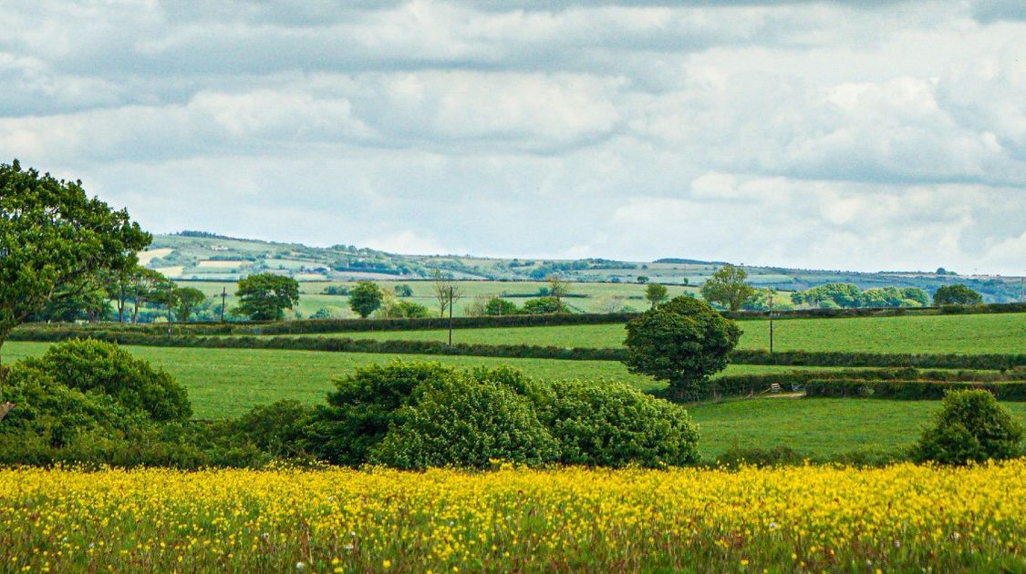 Benefits of Booking a Self-Guided Tour for Offa's Dyke Path