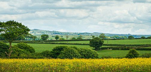 Benefits of Booking a Self-Guided Tour for Offa's Dyke Path