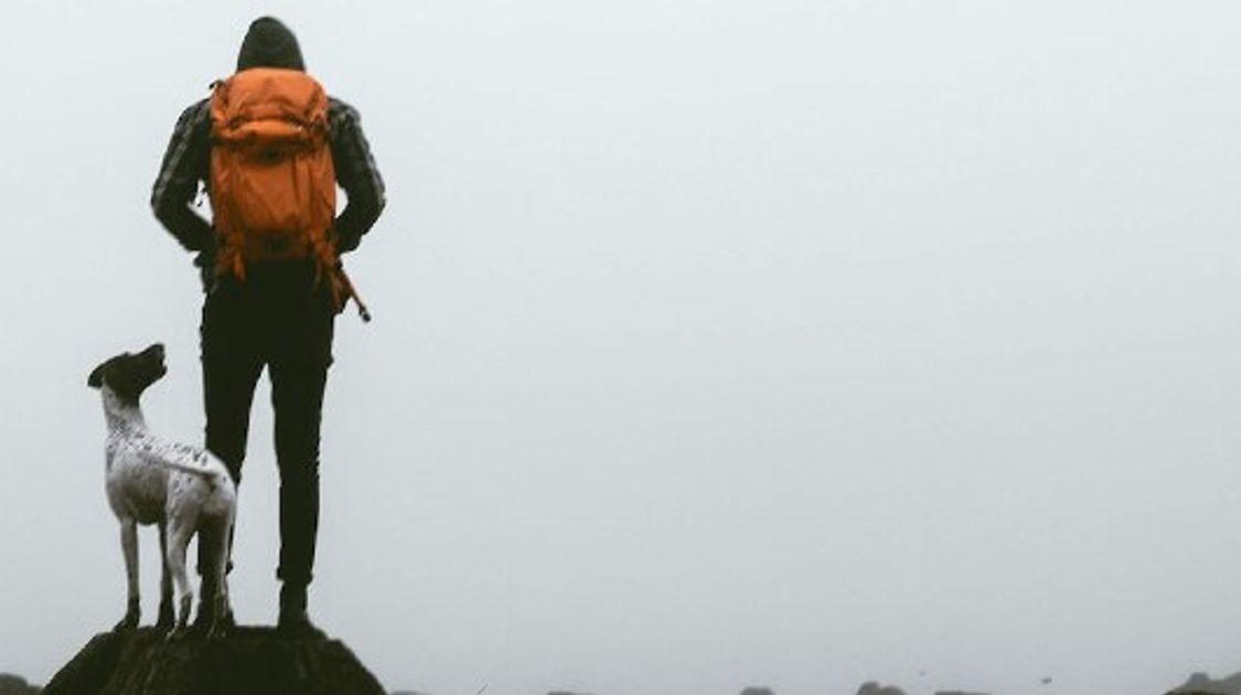 Best Places To Travel With Your Dog in Europe