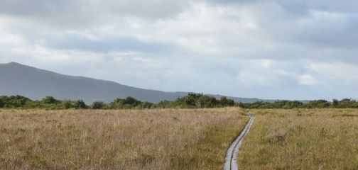 New Australia Tours
