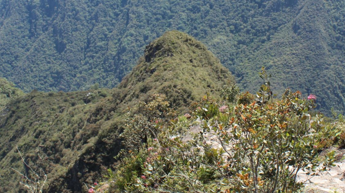 Trek to Machu Picchu via the Choquequirao Trail