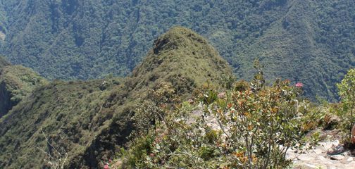 Trek to Machu Picchu via the Choquequirao Trail