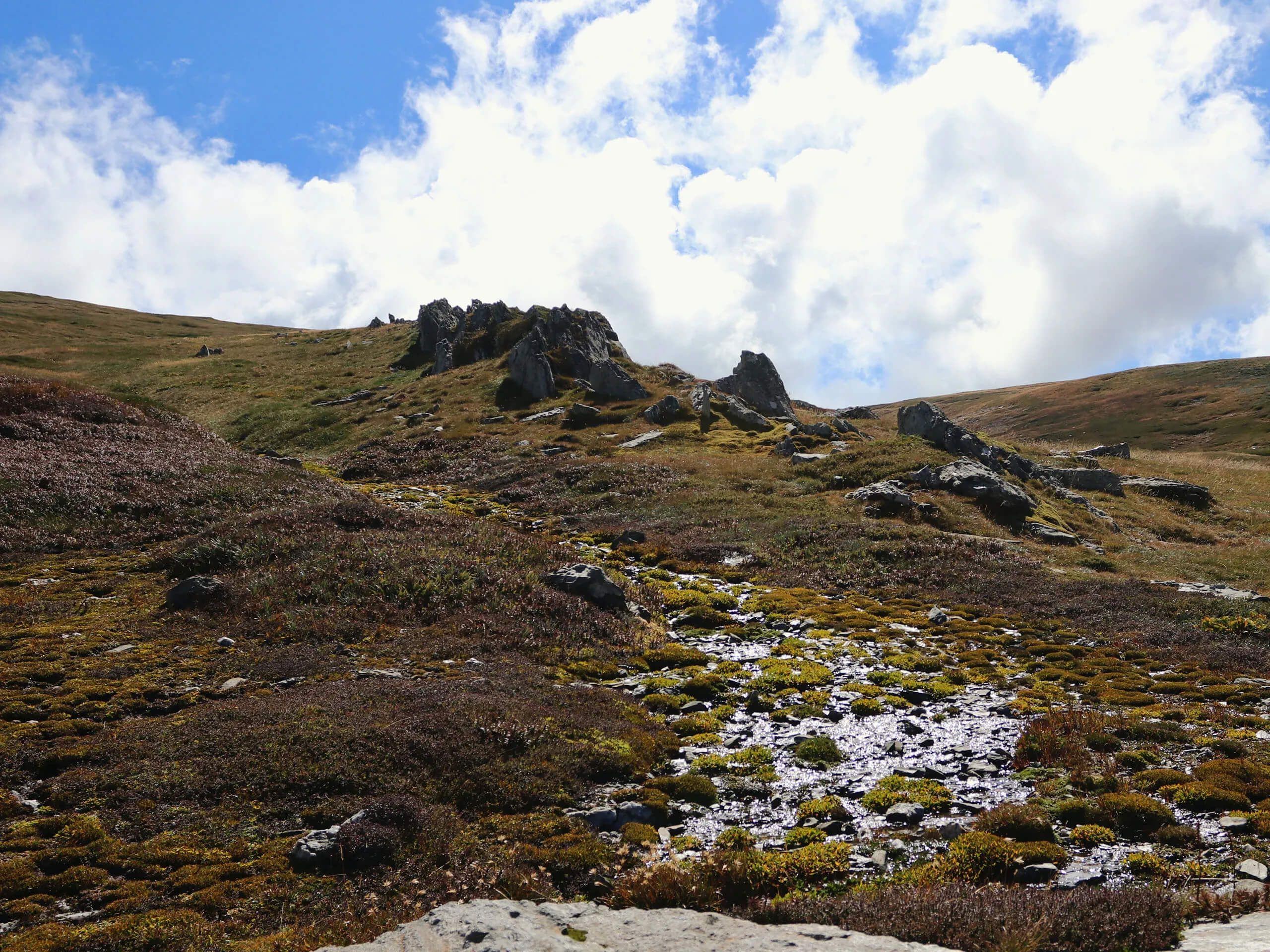 Australian Alps Walking Track