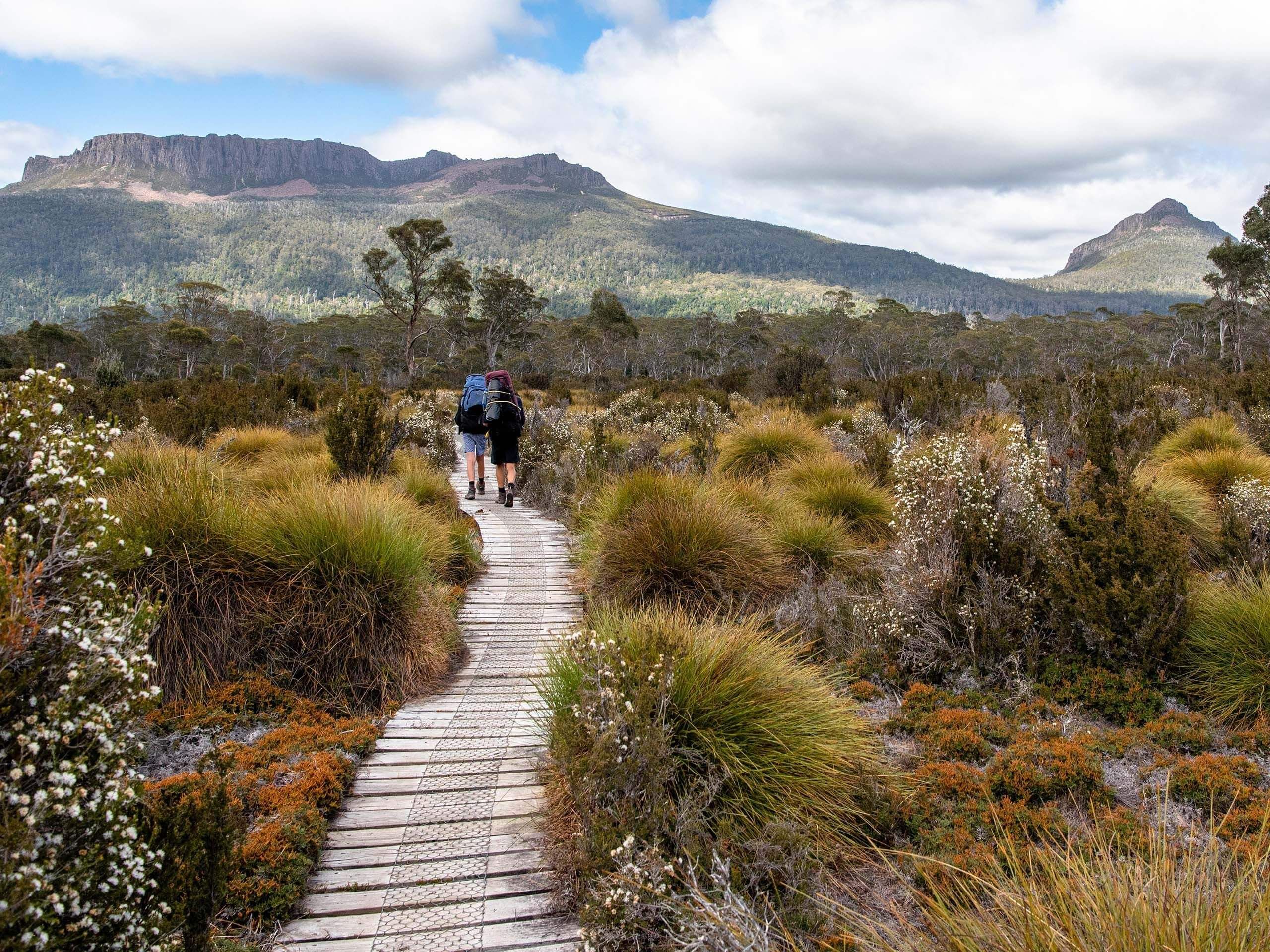 Tasmanian Trail