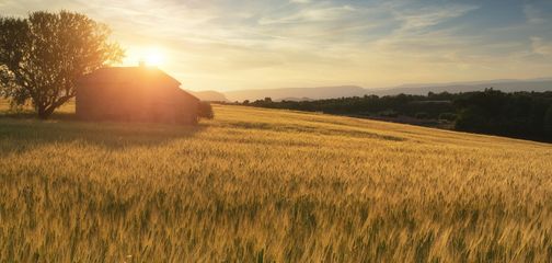 Discover the Natural Beauty of France With Our New Hiking Tours