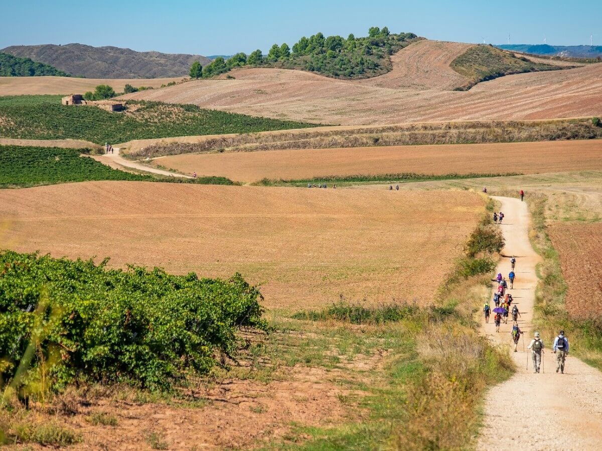 Camino