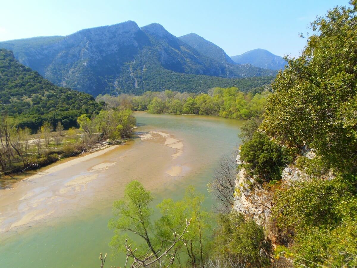 Nestos Rodopi
