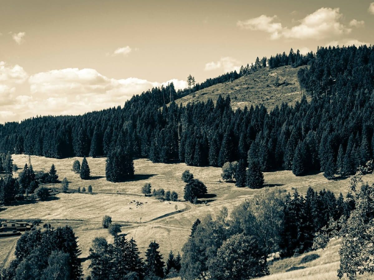 Rennsteig