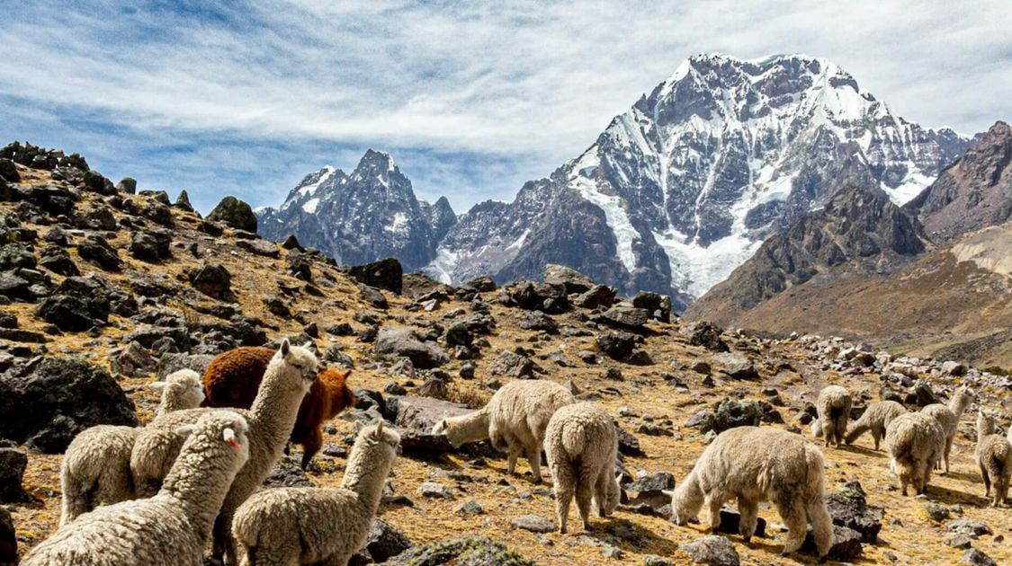 The 10 Best Multi-Day Treks in South America