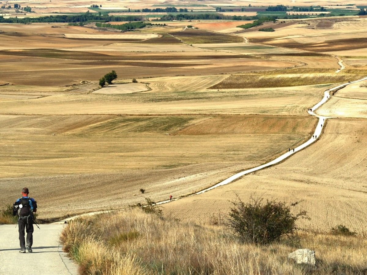 Camino