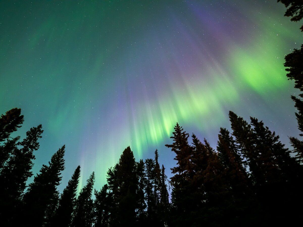 First glimpse of the Aurora through the trees