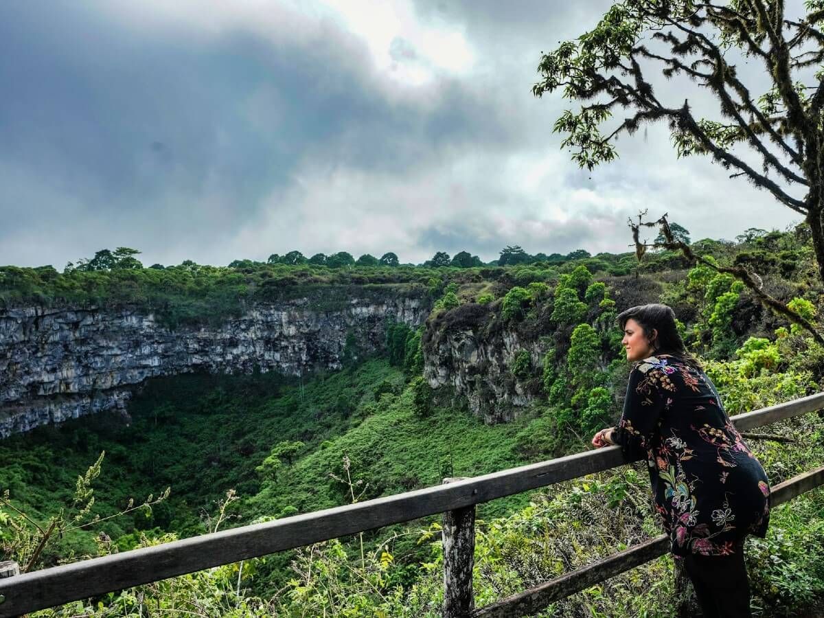 Best of Both - woman overlooking forest