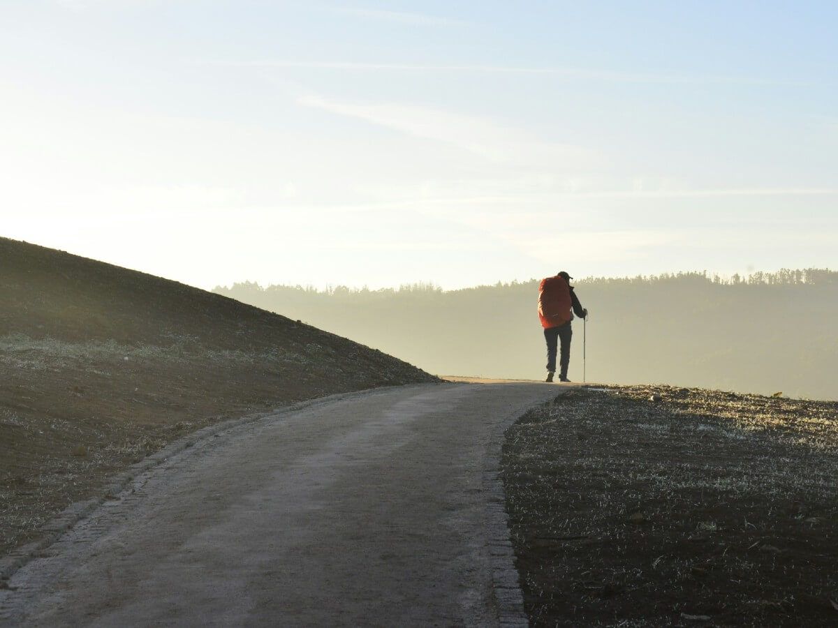 Camino Frances